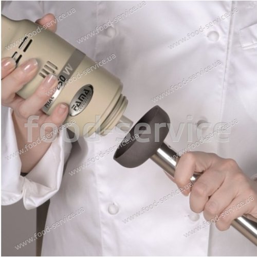 Міксер погружний Fama FM250VV200